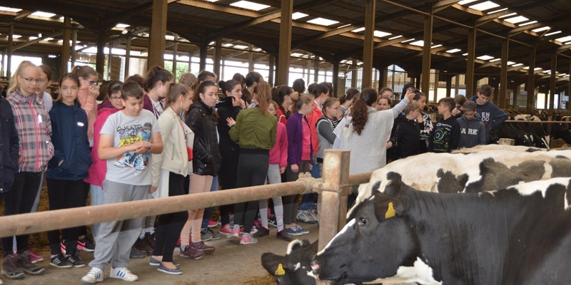 Hungarian Children’s Choir visit RHET Host Farm