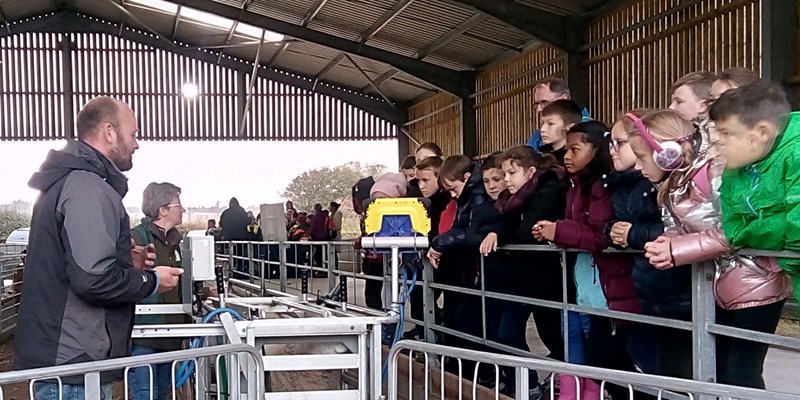 Primary school pupils spend a day on a farm