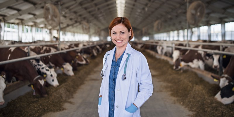 How to start a career in Veterinary Medicine - Mary Fraser