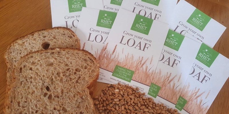 RHET & RNCI support the growing of 150 loaves (and counting!) in schools